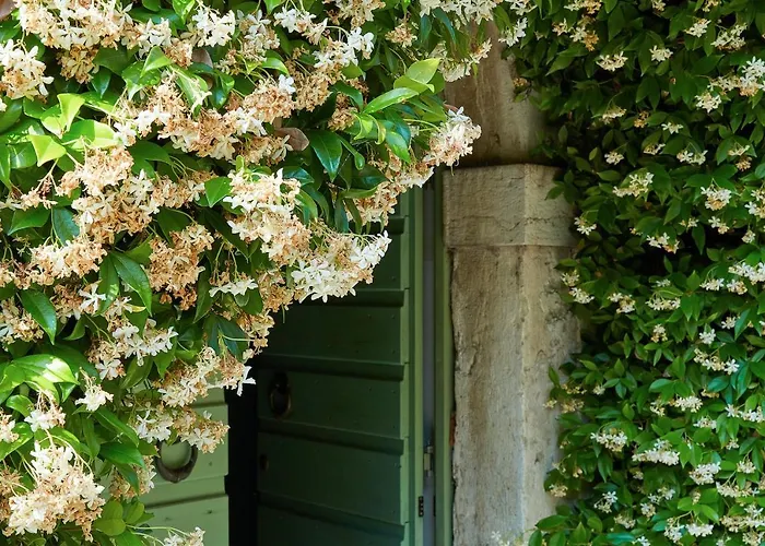 Cisano Residenza D'epoca Apartamento